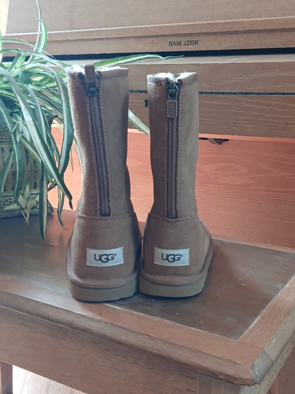 Ugg Ankle Boot - Picture 3 of 6